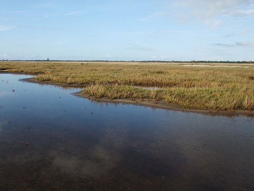 Schleswig-Holstein Wadden Sea National Park